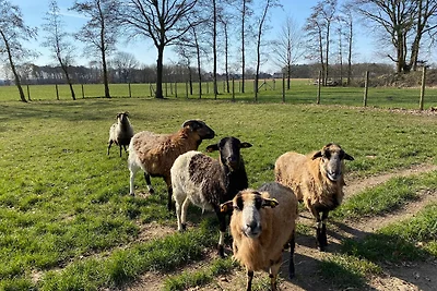 Ferienhof Westermann (Waldblick)