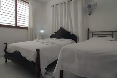 HOSTAL AVENIDA CRUCERO Appartement
