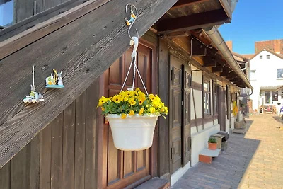 Altstadtflair - Efeu