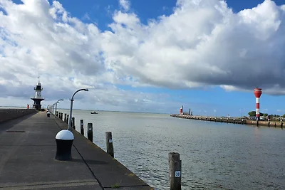 Leopard (1-6 Personen)