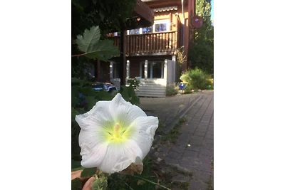 Vakantieappartement Gezinsvakantie Eckernförde