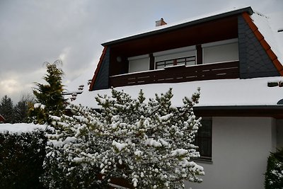 Vakantieappartement Gezinsvakantie Clausthal-Zellerfeld