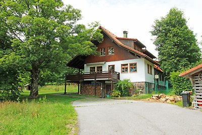 Vakantieappartement Gezinsvakantie Freudenstadt