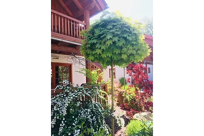 Chalets zum Ilsetal