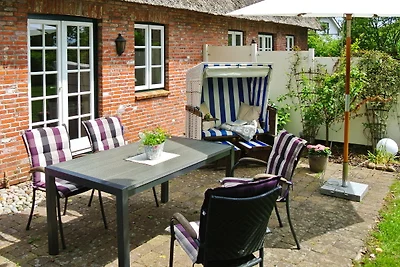Sommerlinde
