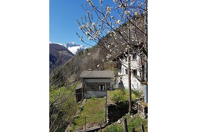 Casa vacanze Vacanza di relax Verbano-Cusio-Ossola