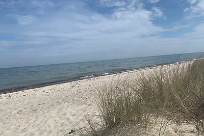 Vakantiehuis Ontspannende vakantie Hasselberg