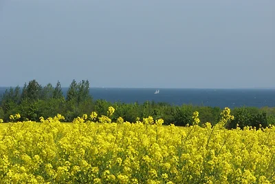 Ostseestrand in Zierow WE27 -