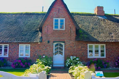 Casa vacanze Vacanza di relax Utersum