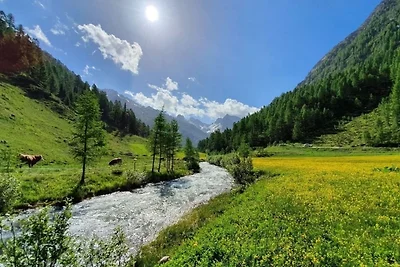 Vakantiehuis Ontspannende vakantie Außervillgraten