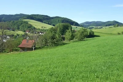 Sonniges, naturnahes Schwarzwald