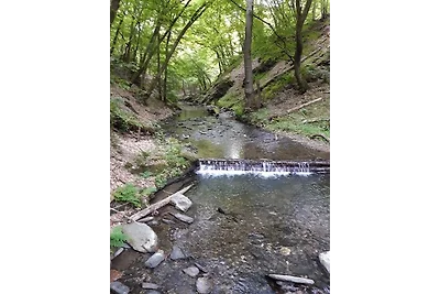 Vakantieappartement Gezinsvakantie Mörsdorf