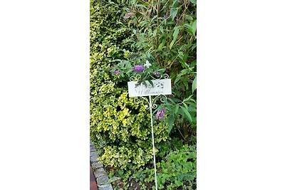 Appartamento Vacanza con famiglia Rhauderfehn