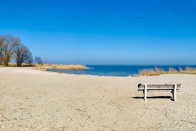 Sonniges Strandhaus am Haff mit