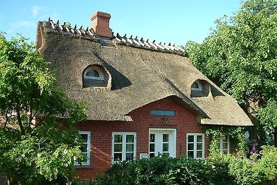 Ferienhaus Vollandt