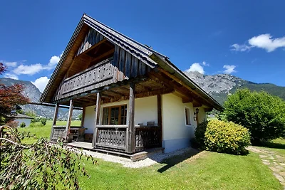 Stodertraum 2 "Gänseblümchen" by