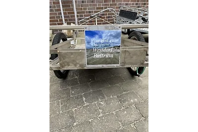 Haus zur Post Baltrum, App. 17