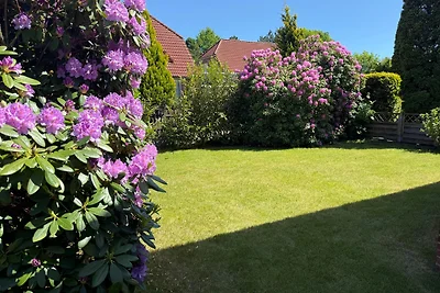 Ferienhaus Seerrobbe