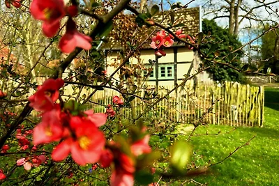 Idyllisches Ferienhaus Nähe
