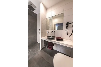 Kingsize-Apartment Ehrenbreitstein