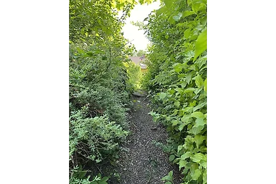 Haus 4 Wandern und Radeln im