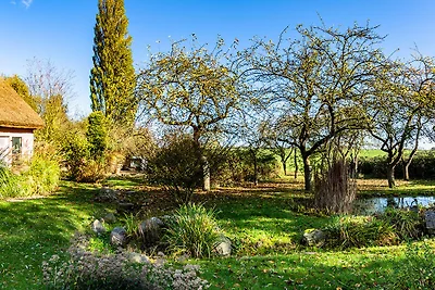 Hof Garz Wohnung Kräutergarten