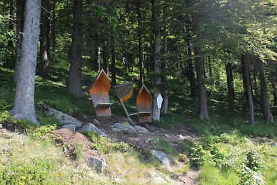 Vakantieappartement Gezinsvakantie Todtnau