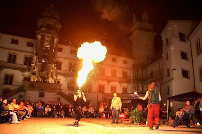 Altstadt Ferienwohnung Torgau