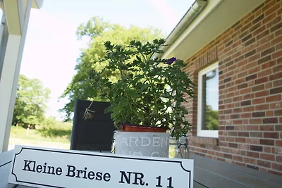 Kleine Briese