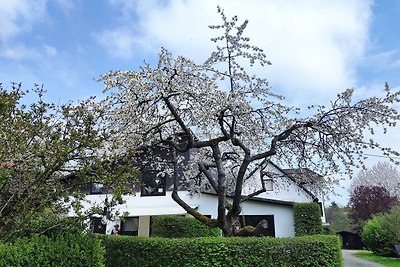 Vakantieappartement Gezinsvakantie Hallenberg