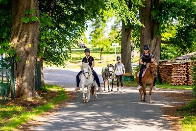 Ferienhof Domäne Groschwitz -