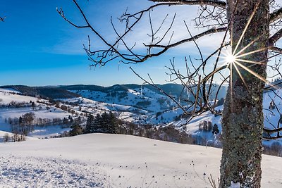 Vakantieappartement Gezinsvakantie Lörrach