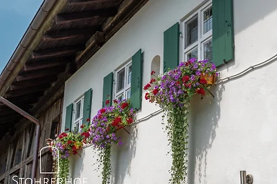 Das Beste der Region - Gut