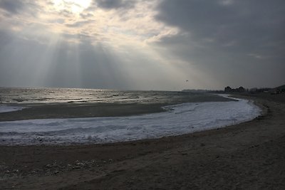Hafenblick