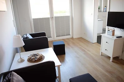 Lachmöwe, Haus an den Salzwiesen