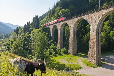 Appartamento Vacanza con famiglia Titisee-Neustadt
