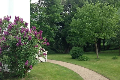 Gutshaus Hinrichsberg: Parkblick