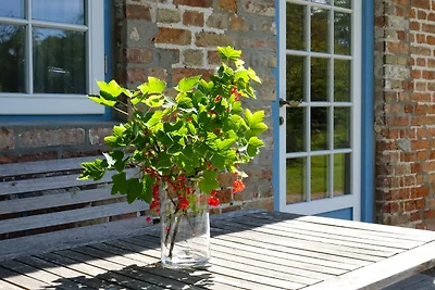 Vakantiehuis Ontspannende vakantie Gelting