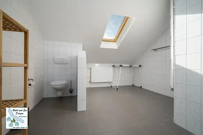 Wald und See Dargun 16b