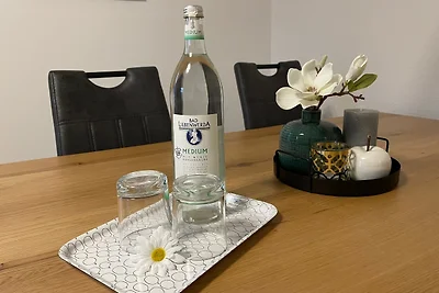 Vakantieappartement Gezinsvakantie Freiberg