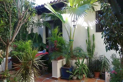 Apartamentos Monasterio de San