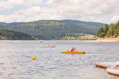 Kurhotel Schluchsee App. 1211 -