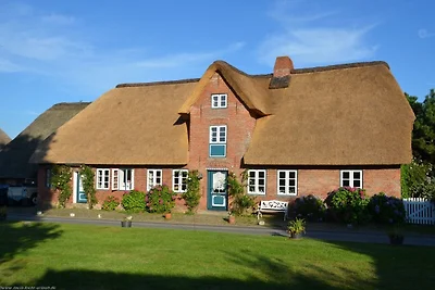 Vakantieappartement Gezinsvakantie Oevenum
