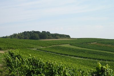 Vakantieappartement Gezinsvakantie Königheim