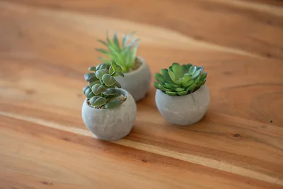 Appartamento Vacanza con famiglia Putbus