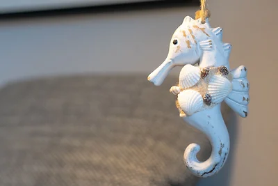 Berolina Nest am Meer 409