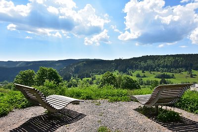 Vakantiehuis Ontspannende vakantie Lenzkirch