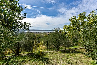 Barrierefreie Wohnung mit Aussicht