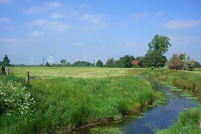 Vakantiehuis Ontspannende vakantie Osteel