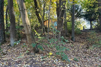 Bungalow im Wald am See - Biberspur